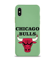 Apple iPhone X Uyumlu Lansman Kılıf Chicago Bulls Tasarımlı Altı Kapalı İçi Kadife Kaplı  Kapak (Şeffaf)