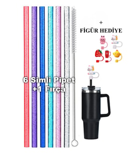 Stanley Quencher Uyumlu H2.0 30/40 Oz Uyumlu Aksusuar Set Simli Pipet (Pembe-Sim)