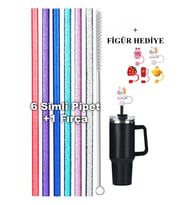 Stanley Quencher Uyumlu H2.0 30/40 Oz Uyumlu Aksusuar Set Simli Pipet (Pembe-Sim)