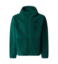 The North Face GENÇ ÇOCUK CAMPSHIRE F/Z KAPÜŞONLU SWEATSHİRT NF0A89KBNL11 (Yeşil)