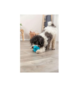 Trixie Naturel Kauçuk Köpek Oyuncağı, Ödül Hazneli 12 cm