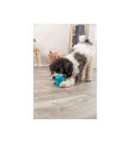 Trixie Naturel Kauçuk Köpek Oyuncağı, Ödül Hazneli 12 cm
