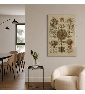 Ernst Haeckel Kunstformen der Natur Deniz Canlıları Temperli Cam Dekoratif Duvar Tablosu