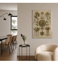 Ernst Haeckel Kunstformen der Natur Deniz Canlıları Temperli Cam Dekoratif Duvar Tablosu