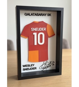 Galatasaray Wesley Sneijder 3D Yazıcı Baskı Çerçeve Tablo - 14x21.5 cm - Efsane 10 Numara Tasarım