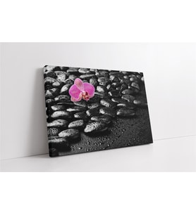 Spa Taşları ve Orkide Kanvas Tablo