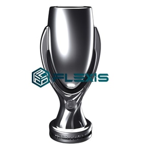 FLEXIS WE MAKE IT POSSIBLE FOR YOU UEFA SÜPER KUPA MAKETİ FIFA GERÇEK HEDİYELİK FUTBOL 25 CM