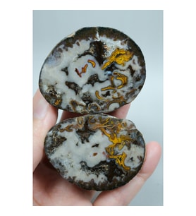 Plume Black Sea Agate • Beyaz, Derin Kahverengi ve Altın Turuncu Agate