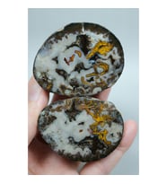 Plume Black Sea Agate • Beyaz, Derin Kahverengi ve Altın Turuncu Agate