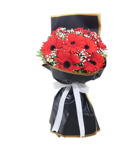 Altın Yaldızlı Siyah jelatinde Kırmızı Gerbera ve Cipsofilya Buketi