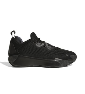 adidas Initiation Erkek Basketbol Ayakkabısı JR9935 Siyah