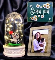 Kişiye Özel Sevimli Pandalı Fanus / Kişiye Özel Fotoğraflı Led Işıklı Hediye Seti