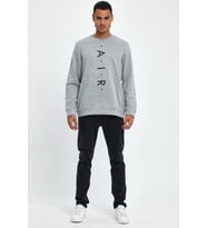 Erkek Bisiklet Yaka Regular Fit Air Baskılı İnce Sweatshirt SPR22SW131
