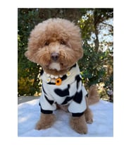 Sevimli Kalpli Köpek Sweatshirt - Kalın Polar