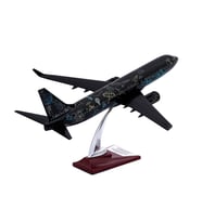 Zekupp - Maket Uçak - Boeing 737-800 1/100 - SİYAH DESENLİ ÖZEL TASARIM Model Uçak