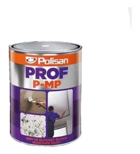 Polisan Prof Nem Boyası Kokusuz 5 Kg