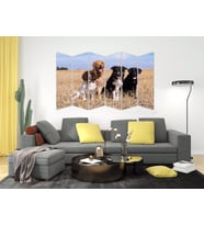 KÖPEK MDF TABLO-2659 MODEL-B