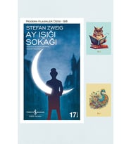 Ay Işığı Sokağı - Stefan Zweig 9786052950722 - Not Defterli Seti (Renksiz)