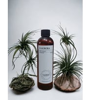 Pro Mac  Rİgel  Koku Makİnasi-Dİffuser  Esans Yaği 250 Ml. Her Makİnaya Uygun