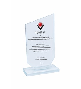 Kristal Cam Plaket