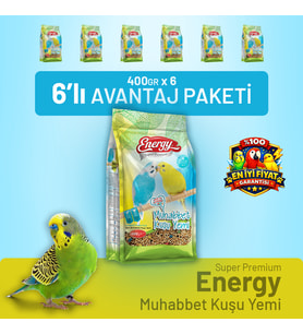 Muhabbet Kuşu Yemi 400 g - 6 Adet