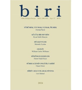 Biri Dergisi 2024, Sayı: 17