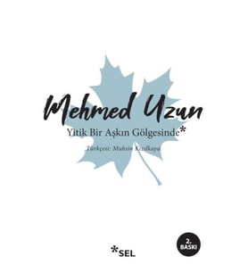 Yitik Bir Aşkın Gölgesinde