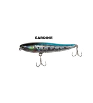 Ryuji Splash 10cm 17gr Top Water Maket Yem Sardine
