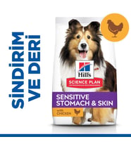 Hills Sensitive Stomach Skin Köpek Maması 2,5 Kg