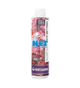 Reeflowers Coralline Algae Acceleratör 500 ml. Skt:06/2028 Quick Response ( Tuzlu Su için )