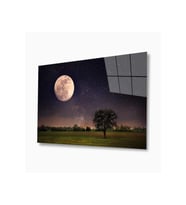 Doğa Cam Tablo 4mm Dayanıklı Temperli Cam (Çok Renkli)