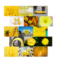 Orora Yellow Temalı Poster Duvar Kağıdı Seti-15li-230g-A5
