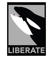 Liberate (orca) Tablo Ahşap Poster Dekoratif