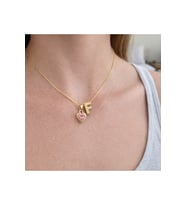 14K Altın Renginde F Harf Pembe Kalpli Minimal Çelik Kadın Kolye