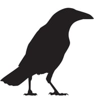 Folyo Sticker Karga 130cm Uzunluk (Karışık)