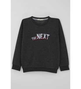 Breeze Erkek Çocuk Sweatshirt Yazı Nakış Baskılı 5-10 Yaş, Koyu Gri Melanj