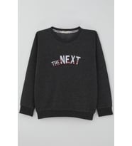 Breeze Erkek Çocuk Sweatshirt Yazı Nakış Baskılı 5-10 Yaş, Koyu Gri Melanj