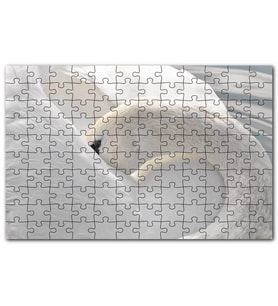Cakapuzzle Tüylerini Temizleyen Zarif Beyaz Kuğu Puzzle Yapboz MDF (Ahşap) (120 Parça)