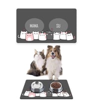 Gri Renk Kedi Köpek Mama Kabı Altlığı, Mama Kabı Paspası