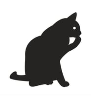KEDİ FOLYO STİCKER 50cm Uzunluk (Karışık)