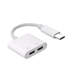 ZR293 Ftac42 Type-C 2 İn 1 Converter Adaptör