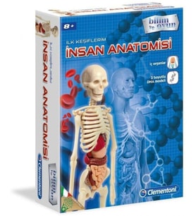 İnsan Anatomisi Bilim ve Oyun (Çok Renkli)