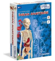 İnsan Anatomisi Bilim ve Oyun (Çok Renkli)