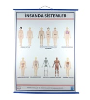 İNSANDA SİSTEMLER LEVHASI (70X100)