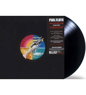 Pink Floyd Wish You Were Here LP Plak (Karışık)
