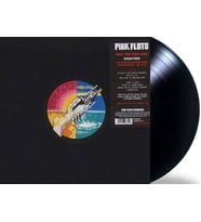 Pink Floyd Wish You Were Here LP Plak (Karışık)