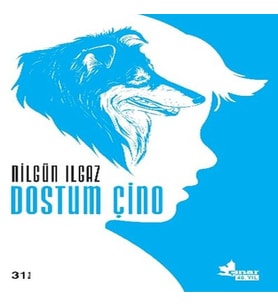 Dostum Çino