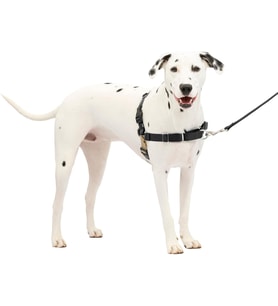 Easy Walk köpek koşum takımı