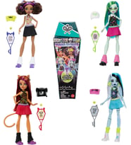 Monster High Gömülü Sırlar HYV64 (Çok Renkli)
