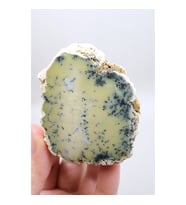 Sarı Dendritik Opal Tekli Merlinite Örneği, Siyah Dendritler ile, 90gr